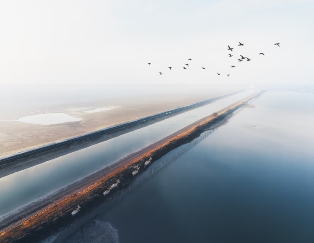 Misty Path of Flight by Gu and Hongchao — canvas wall art