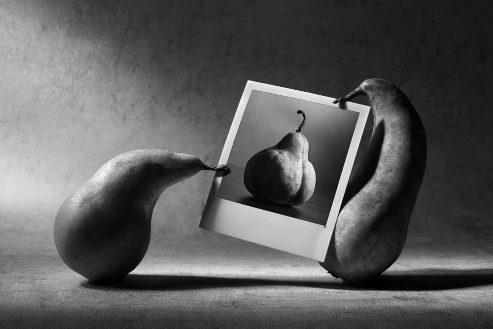 Curious Pears Polaroid by Victoria  Glinka — canvas wall art