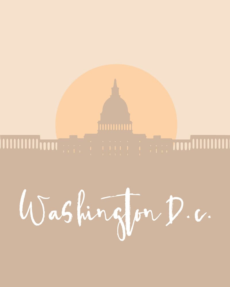 Washington D.C. Capitol Silhouette by Emiliano Deificus — canvas wall art