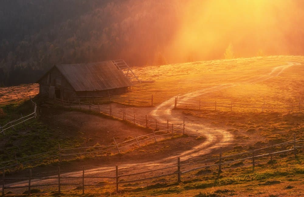 Golden Hour Barn Path by Haim Rosenfeld — canvas wall art
