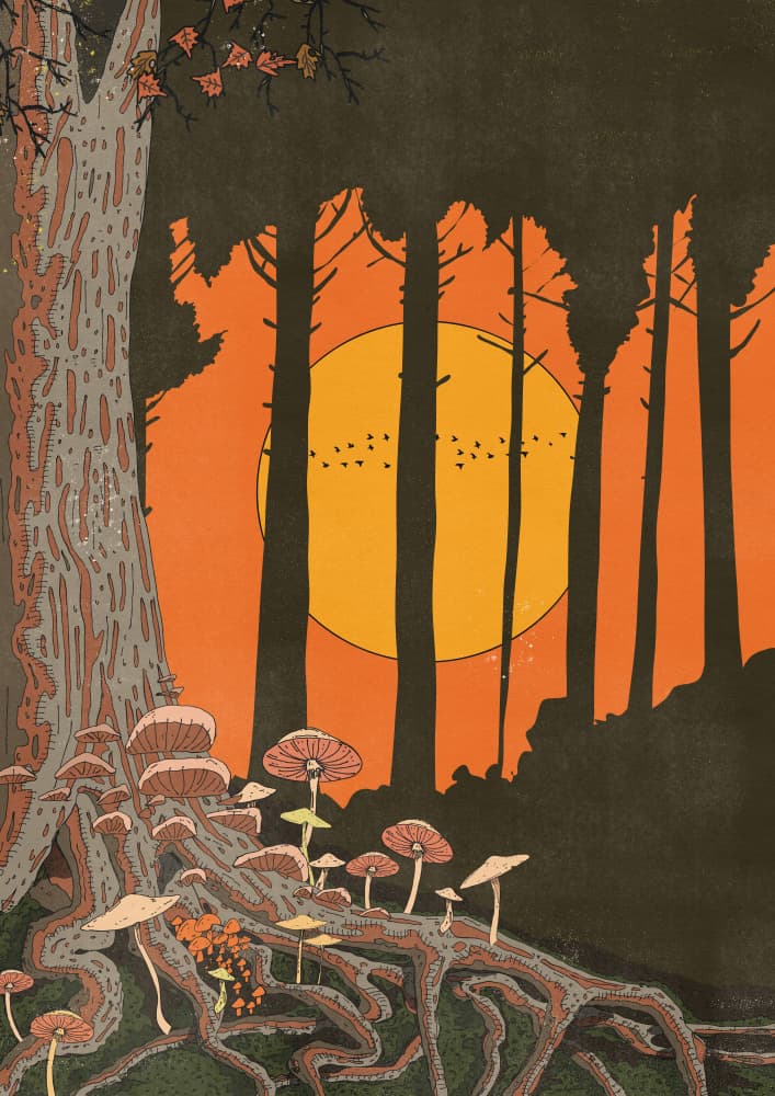 Twilight Mushroom Forest by Nicholas — canvas wall art