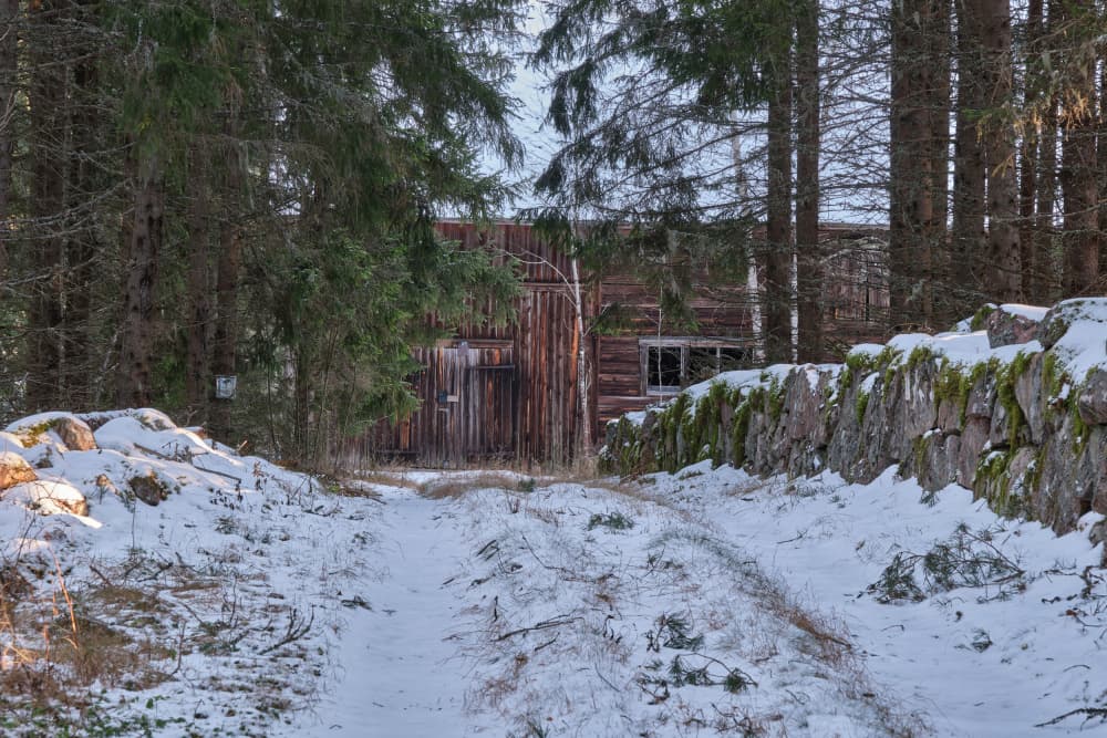 Snowy Forest Barn by Geertjan Plooijer — canvas wall art