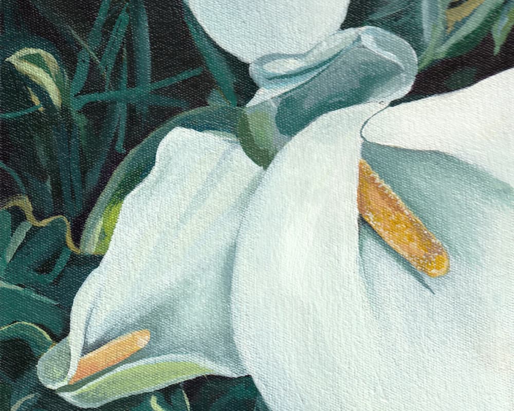 Elegant White Lilies by Viccy Wanliss — canvas wall art