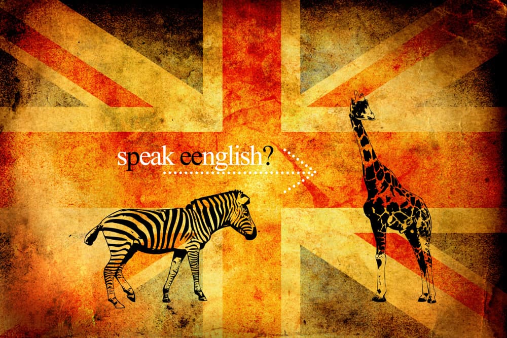 Speak English Zebra Giraffe by Rafal Kulik — canvas wall art