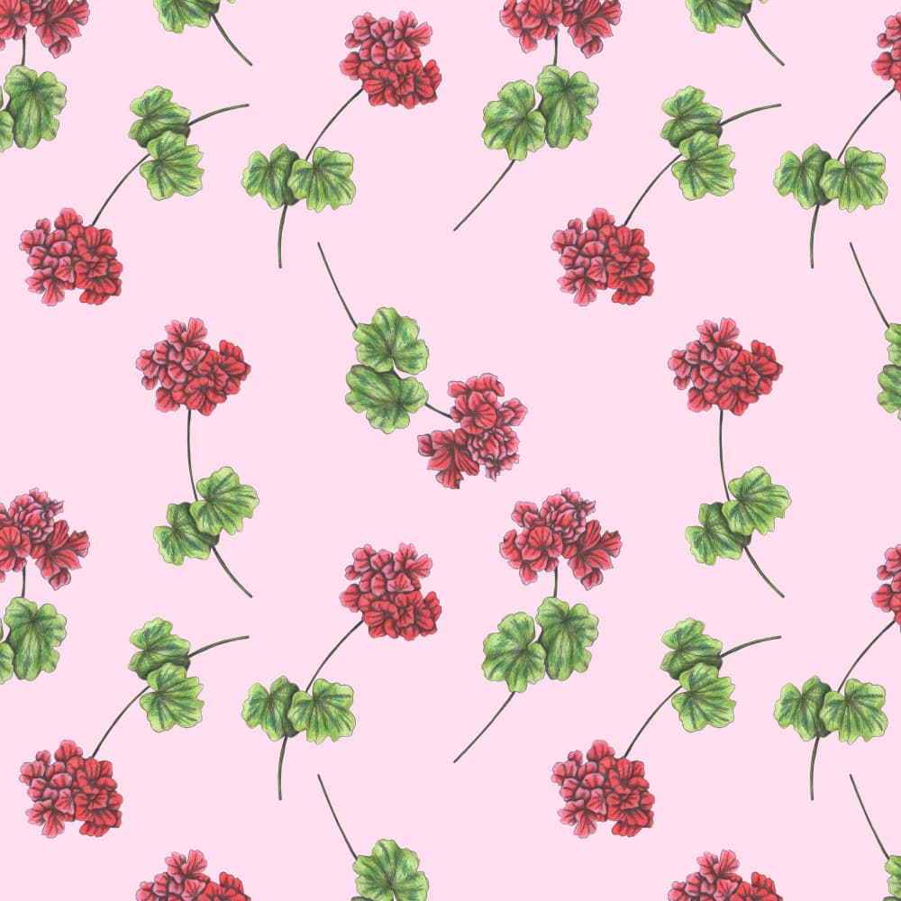 Pink Geranium Pattern by Cecilia Battaini — canvas wall art