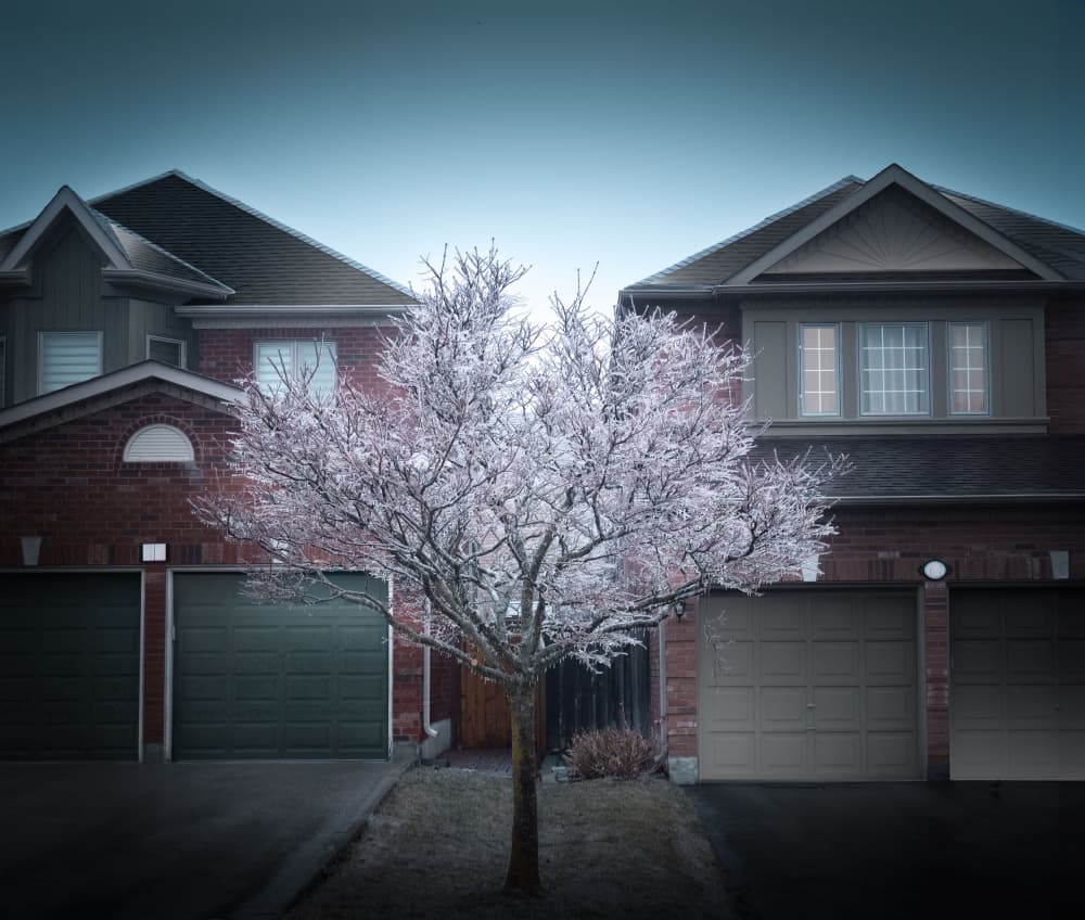 Frozen Suburban Morning by Yuanwei Zuo APA — canvas wall art