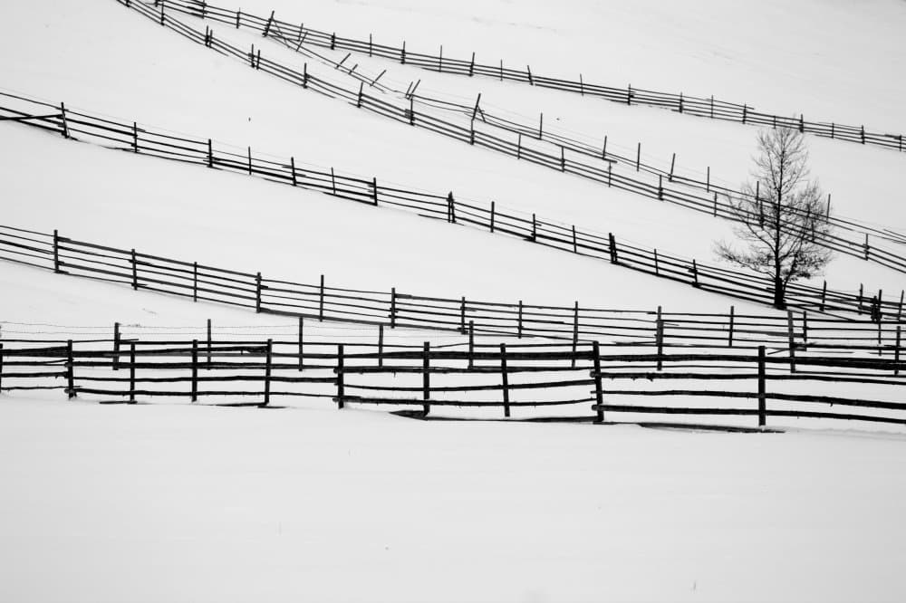 Winter Fences and Tree by Dzintra Zvagina — canvas wall art