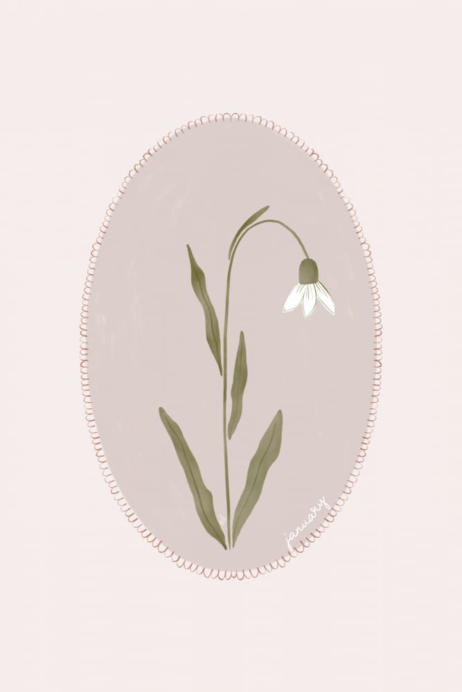 January Snowdrop Bloom by Menina Lisboa — canvas wall art