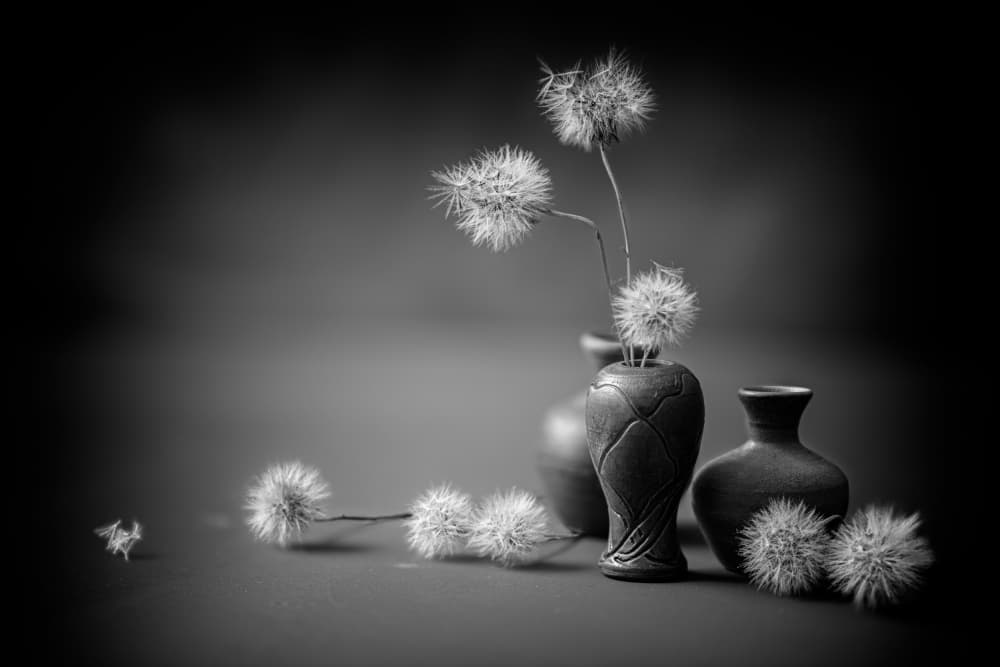 Serene Dandelion Vases by Igor Kopcev — canvas wall art