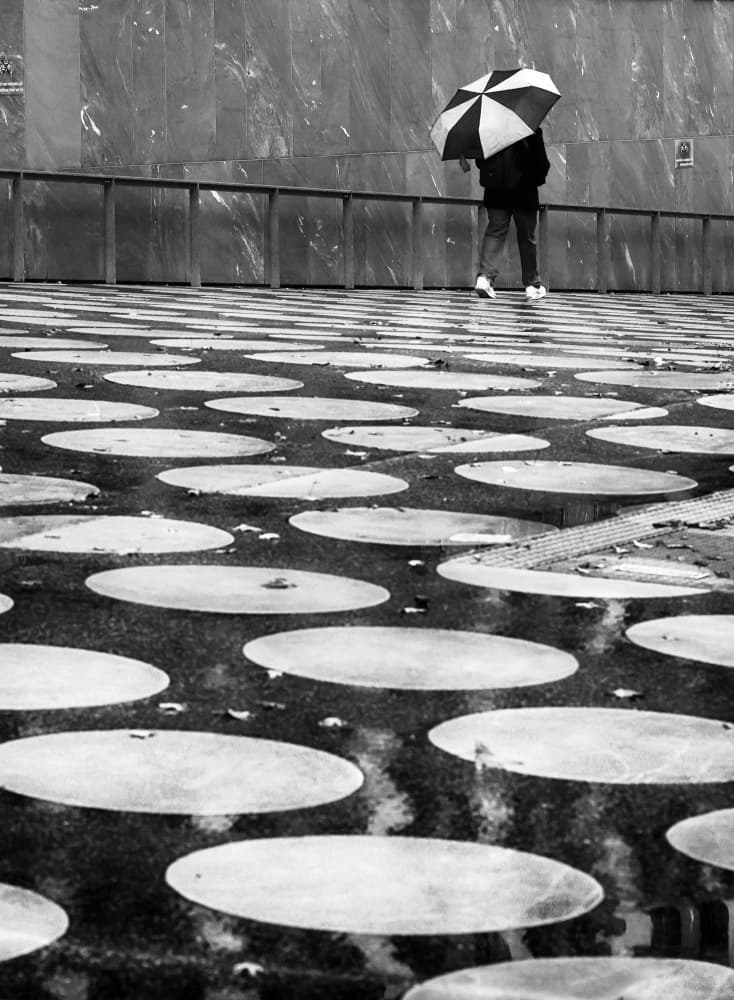 Rainy City Circles by Anna Niemiec — canvas wall art