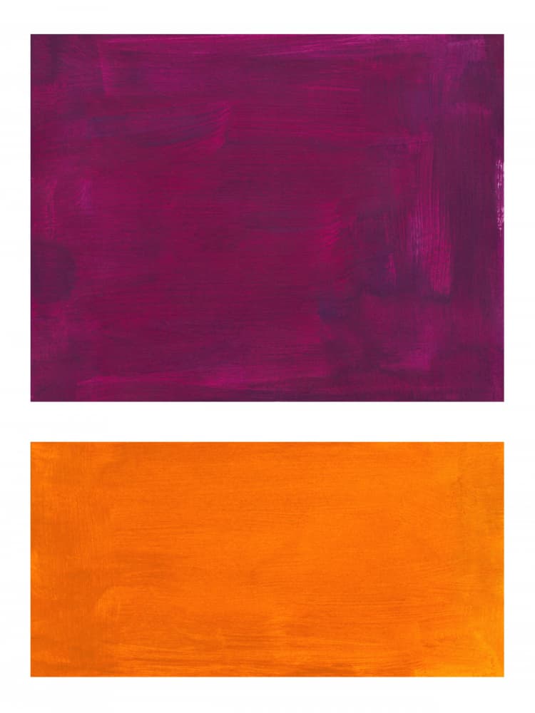 Vibrant Purple Orange by Ejaaz Haniff — canvas wall art