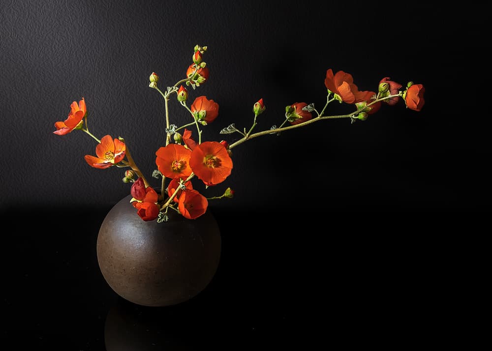 Elegant Orange Blooms by Annie Poreider — canvas wall art