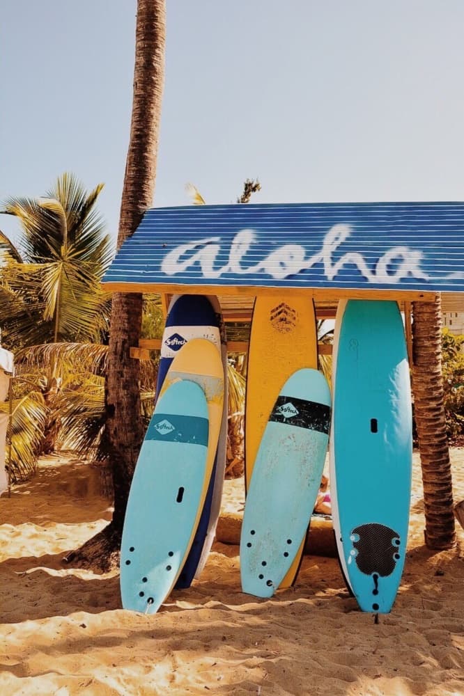Aloha Beach Boards by Del Mundo Imagery — canvas wall art