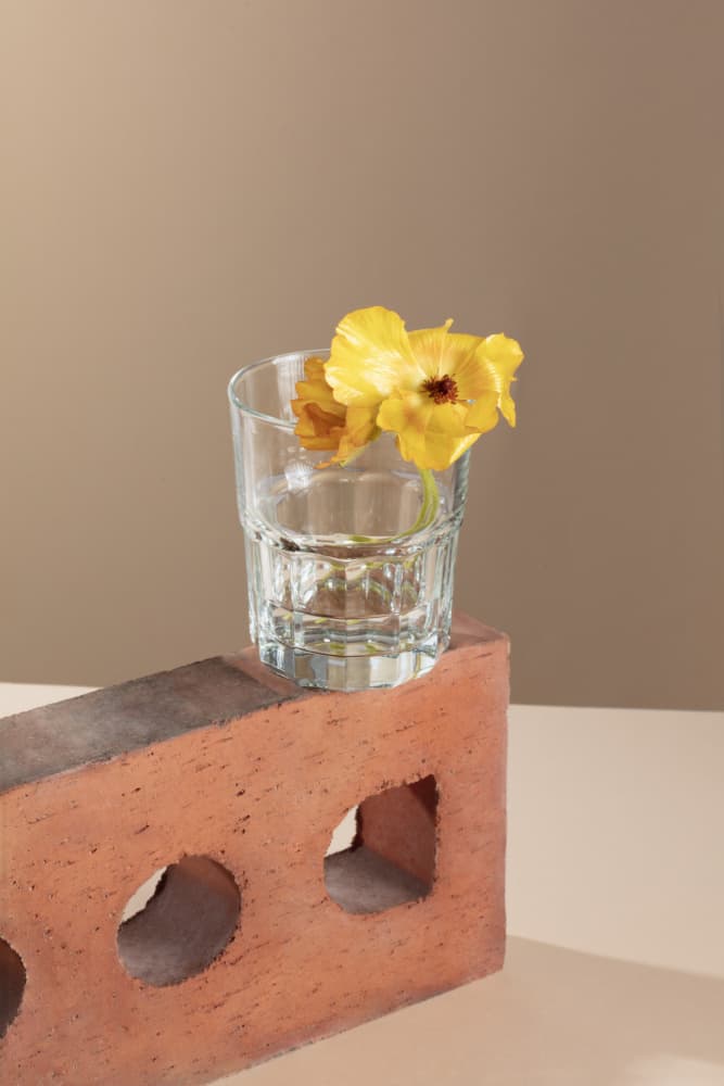 Yellow Flowers On Brick by Julia Ramiro — canvas wall art