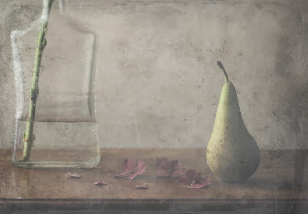 Vintage Pear Still Life by Delphine Devos — canvas wall art