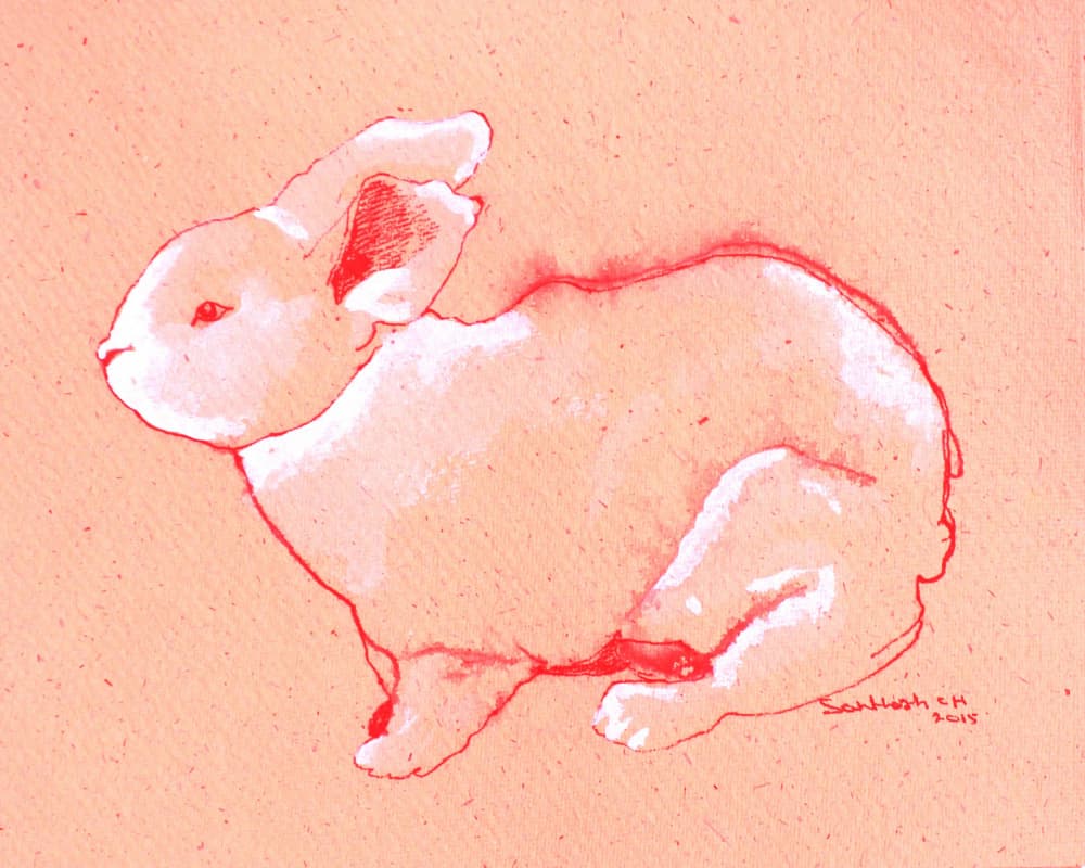 Sweet Little Rabbit by Santhosh ch — canvas wall art