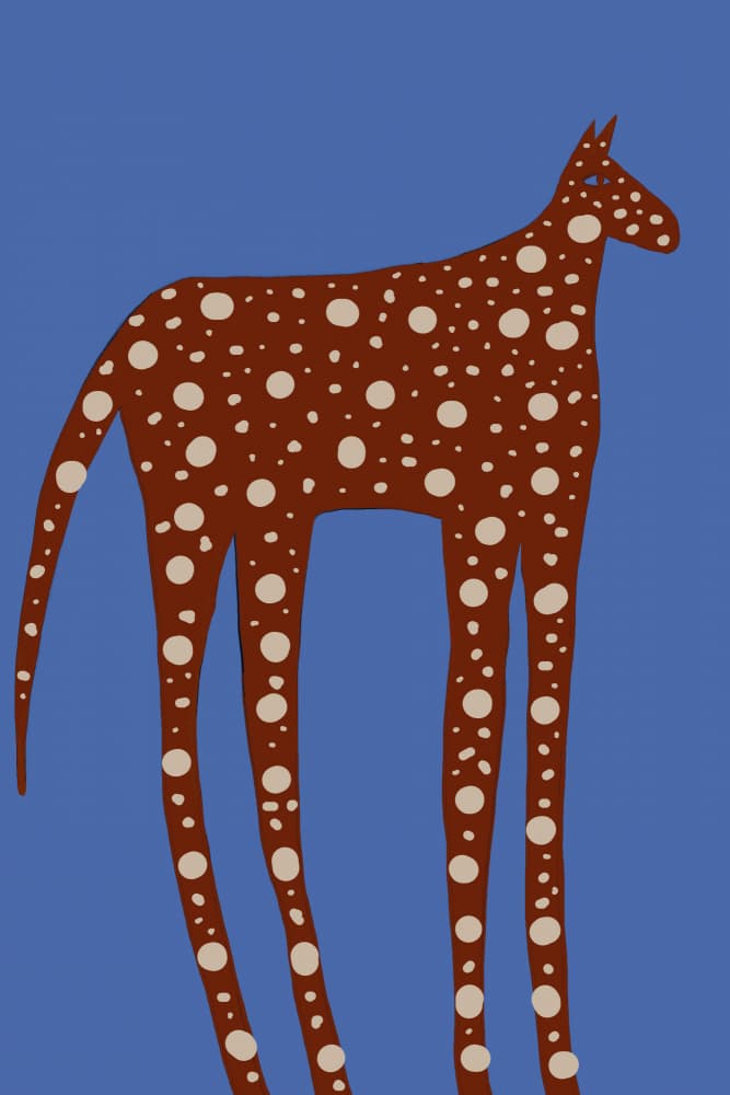 Spotted Long Legged Horse