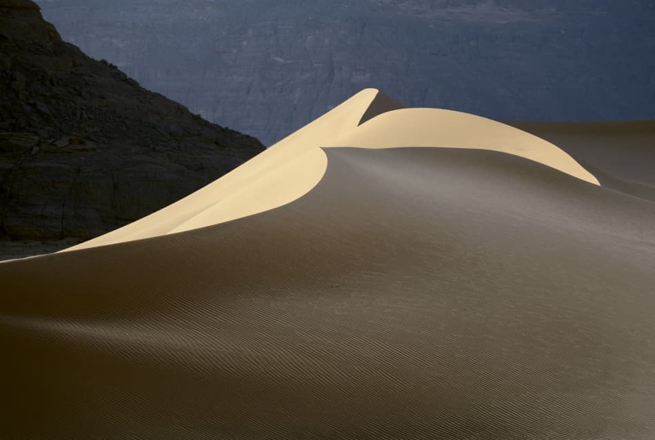 Golden Sand Dunes by Dmitry Dubikovskiy — canvas wall art