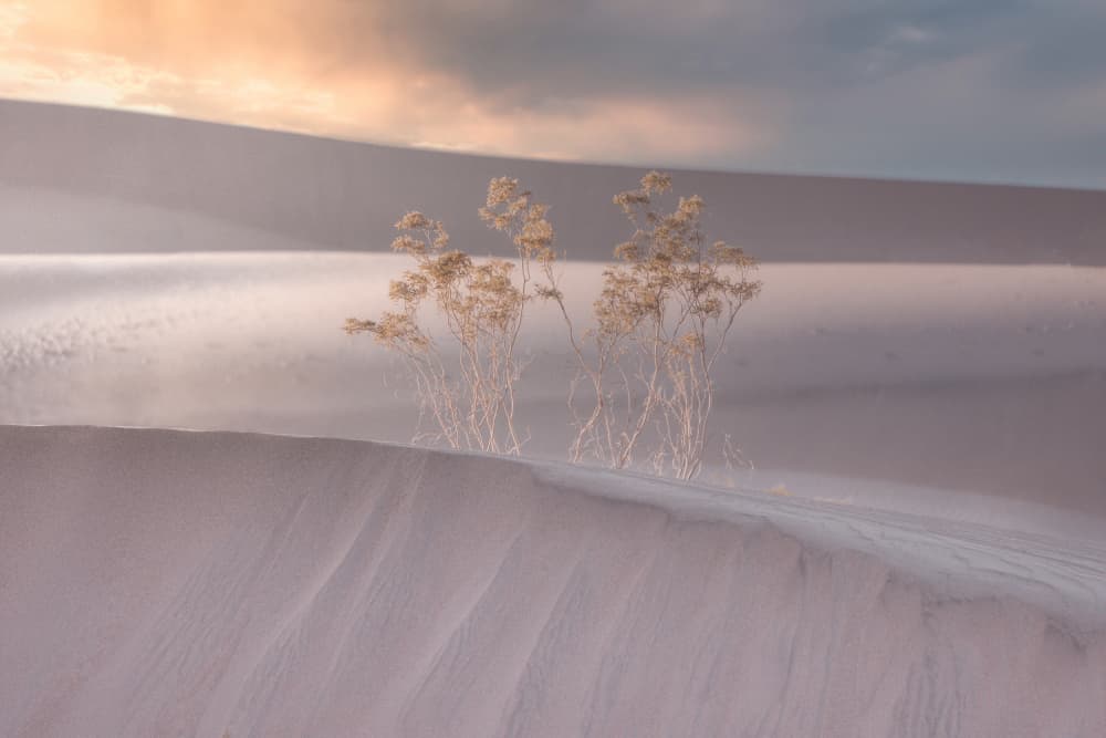Serene Winter Dunes by Abbas Ali Amir — canvas wall art