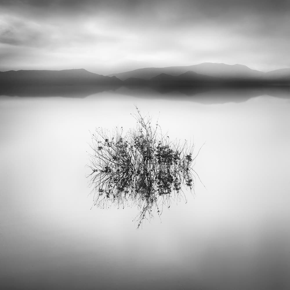 Calm Lake Bush Reflection by George Digalakis — canvas wall art