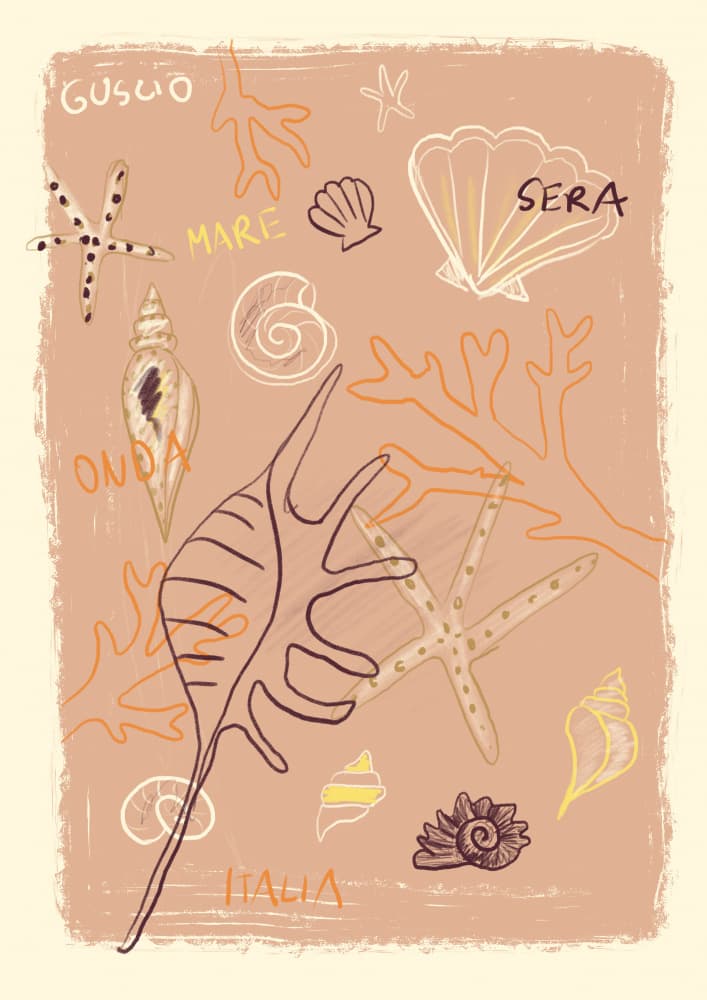 Mediterranean Seashell Collection by Studio Dolci — canvas wall art
