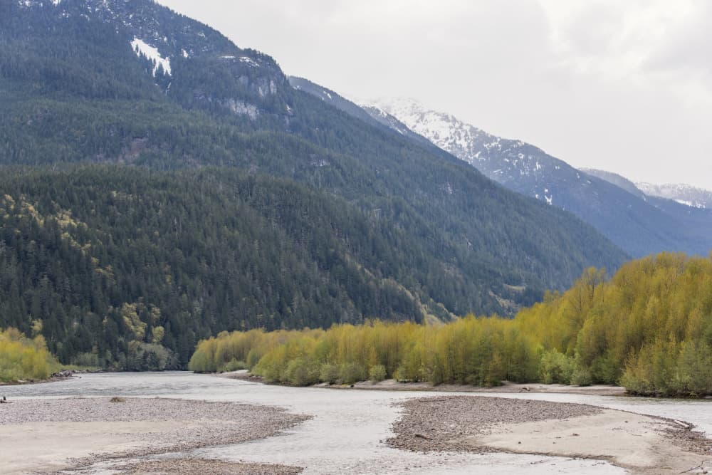 Mountain River Valley Spring by Lynann Colligan — canvas wall art
