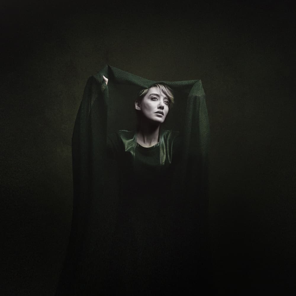 Mysterious Green Veil by Moein Hasheminasab — canvas wall art