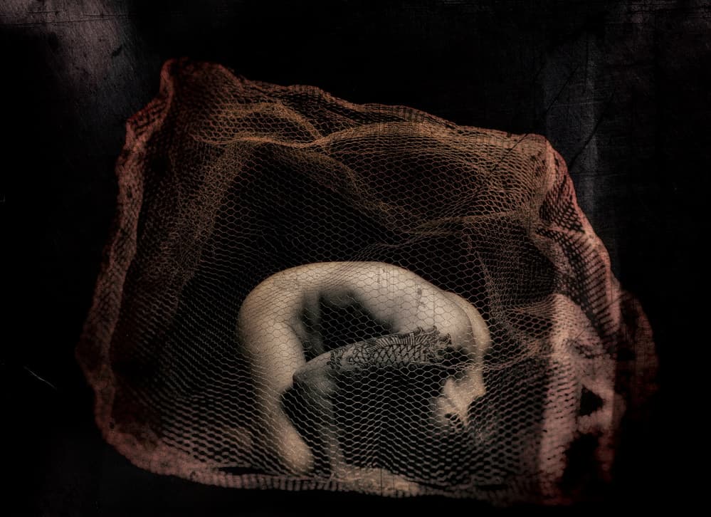 Humanity Entangled by mario lotzin / uwe friessner — canvas wall art