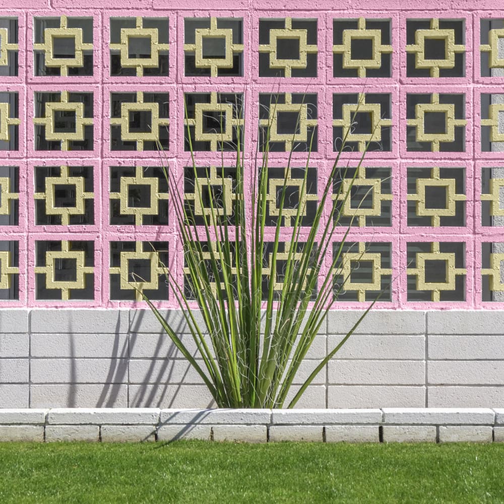 Mid-Century Breeze Block Wall with Cactus in Palm Springs, California by Tom Windeknecht — canvas wall art