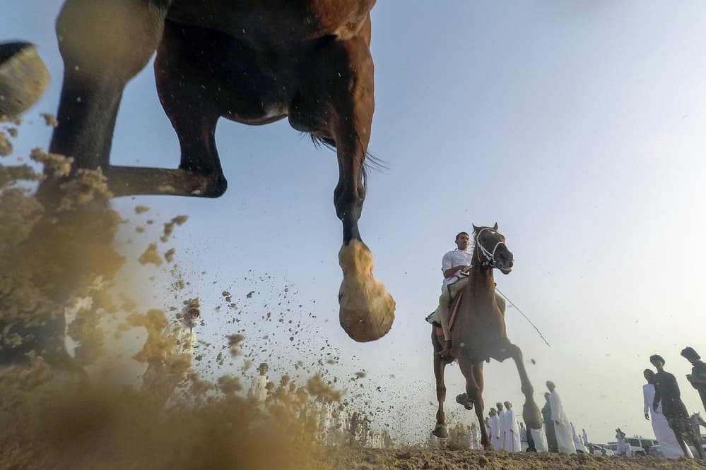 Powerful Desert Gallop by Haitham AL Farsi — canvas wall art