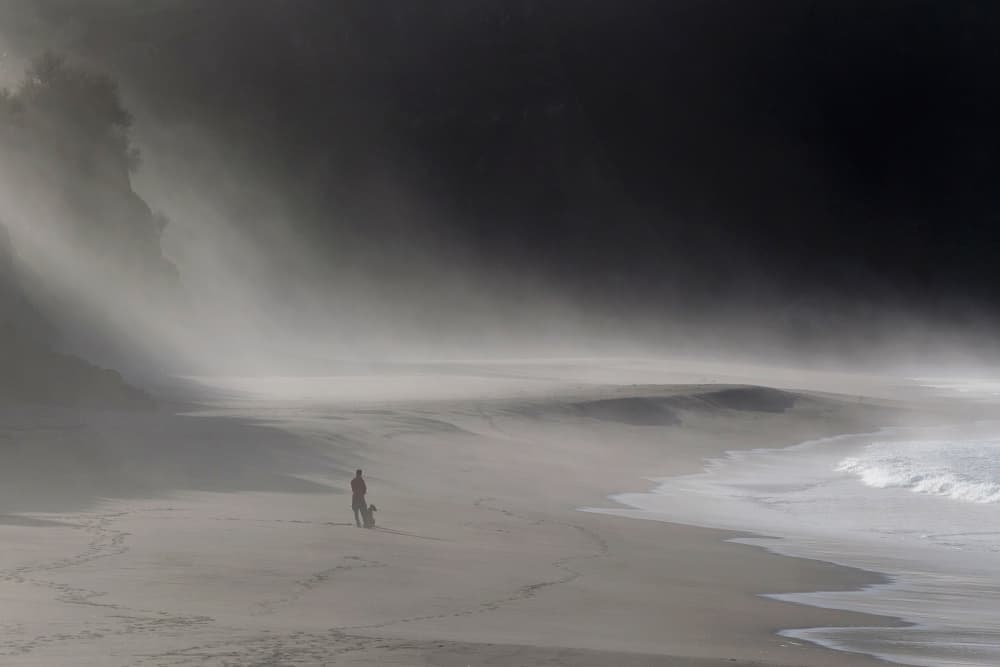 Misty Beach Dog Walk by Paulo Jorge — canvas wall art