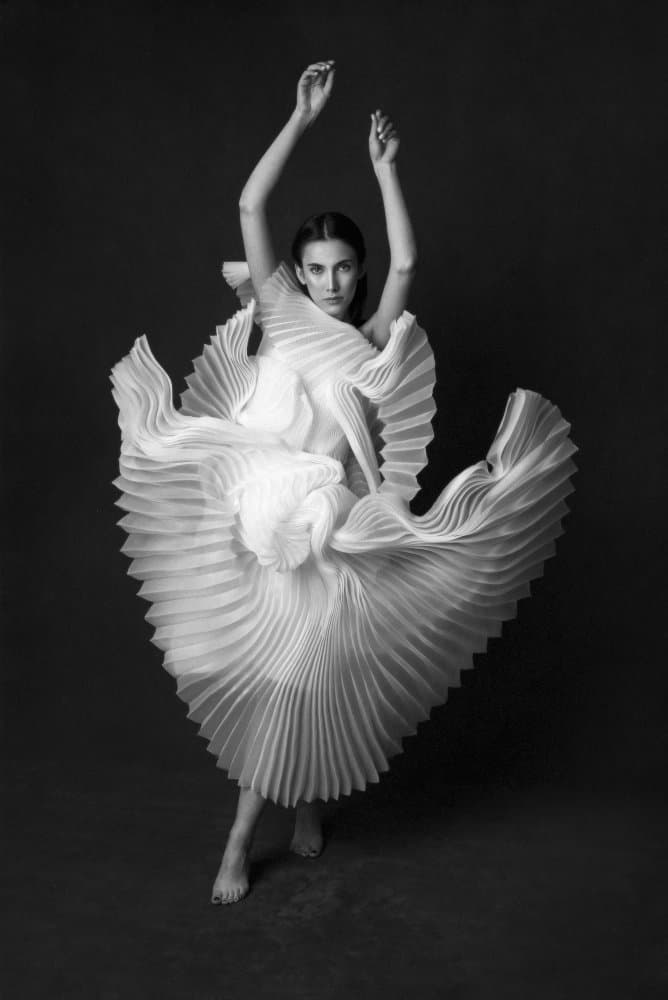 Elegant Pleated Movement by Peyman Naderi — canvas wall art