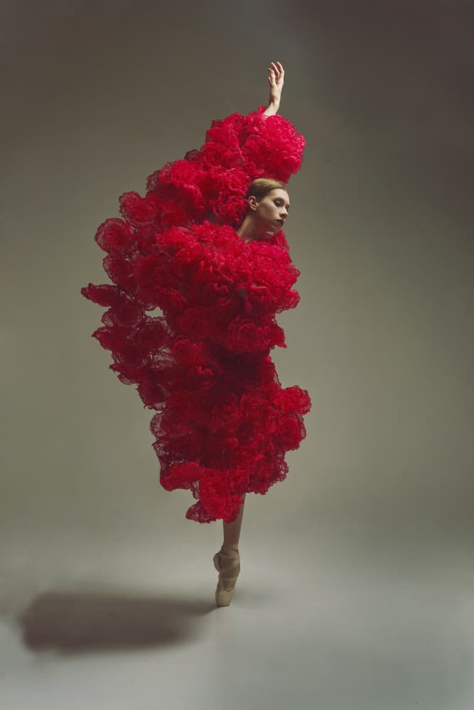 Graceful Red Dancer by Alexandr — canvas wall art