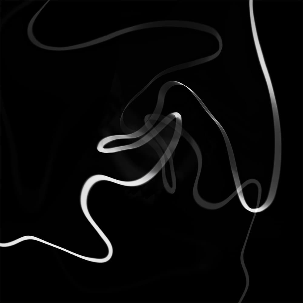 Elegant Fluid Curves by Gilbert Claes — canvas wall art