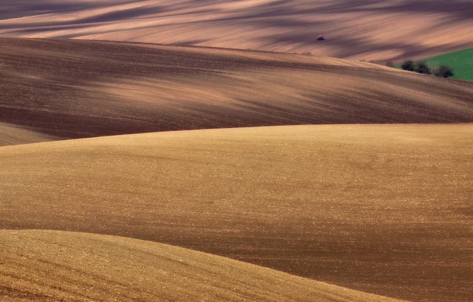 Sunlit Rolling Fields by Przemyslaw Kruk — canvas wall art