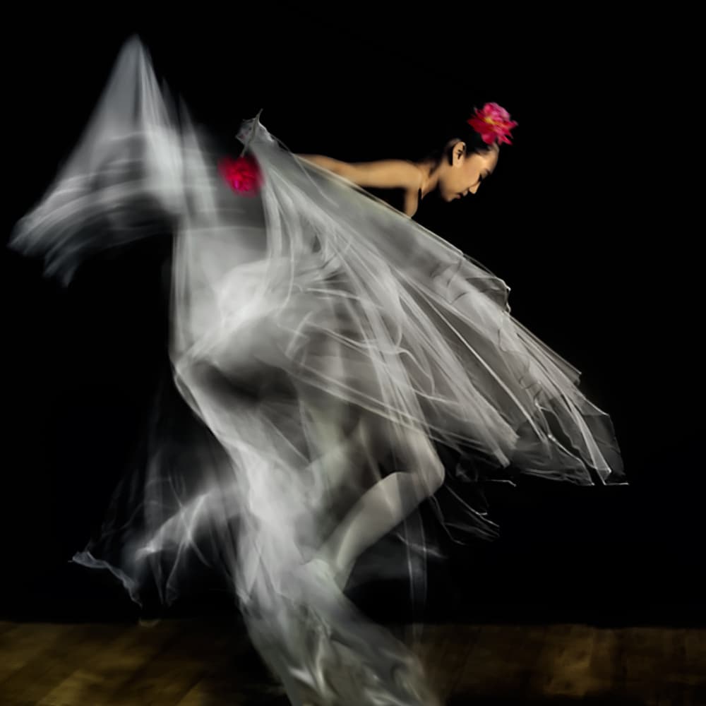 Graceful Flowing Dancer by Katarina Holmström — canvas wall art
