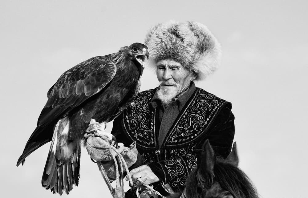 Majestic Eagle Hunter by Shirley Shen — canvas wall art