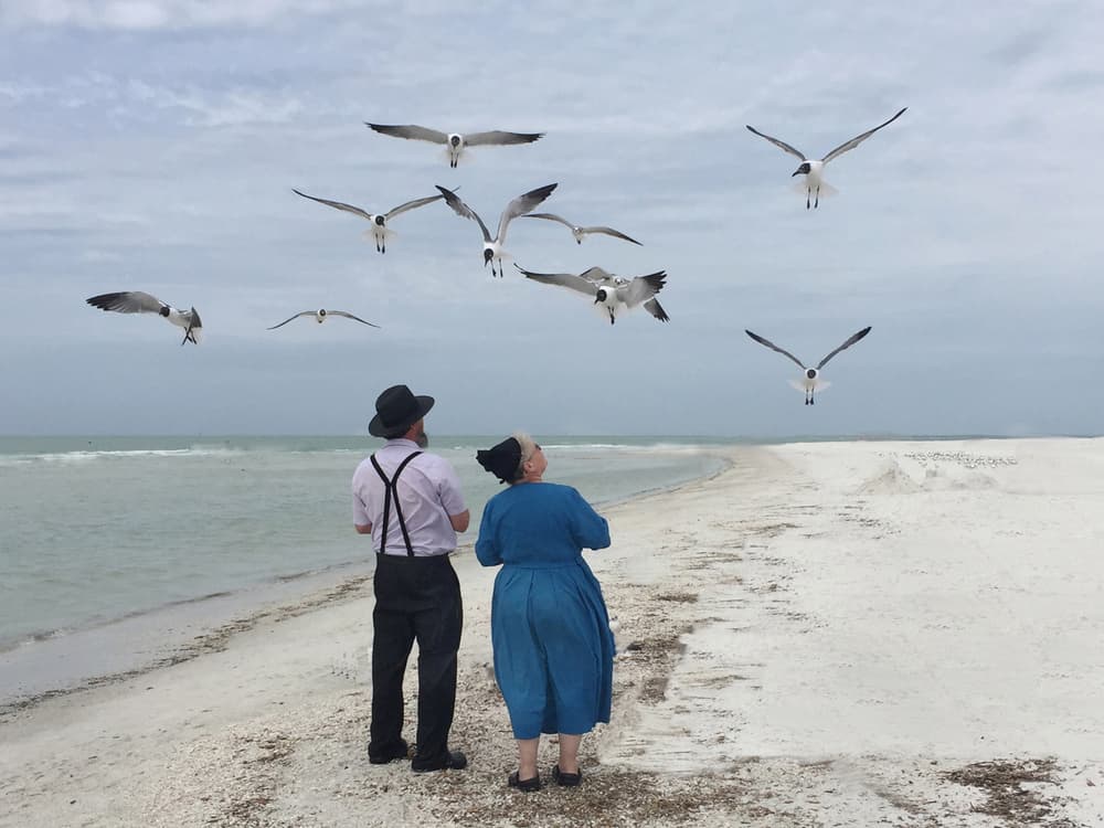 Amish Couple Beach Birds by Jane Lyons — canvas wall art