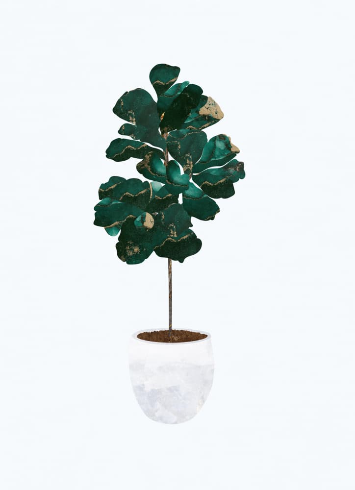 Emerald Fiddle Leaf Plant by Sarah Manovski — canvas wall art