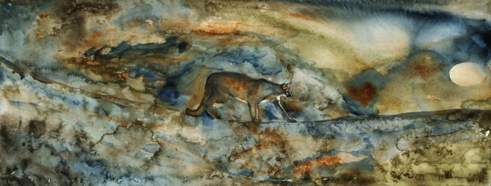 Mountain Lion Passage by RodMacIver — canvas wall art