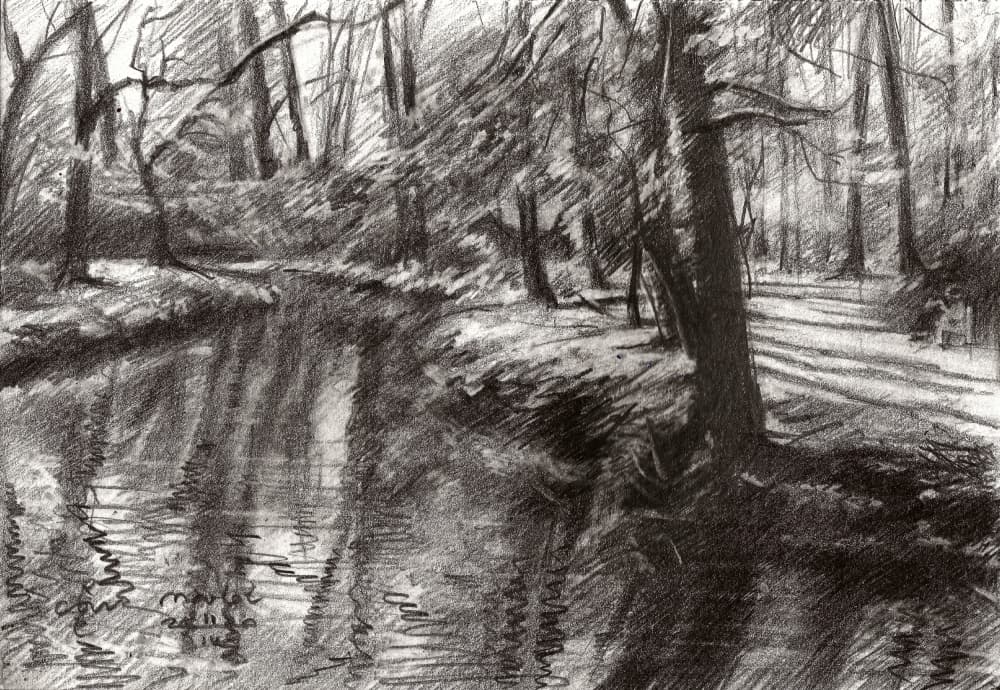 Forest Stream Reflections by Corné Akkers — canvas wall art