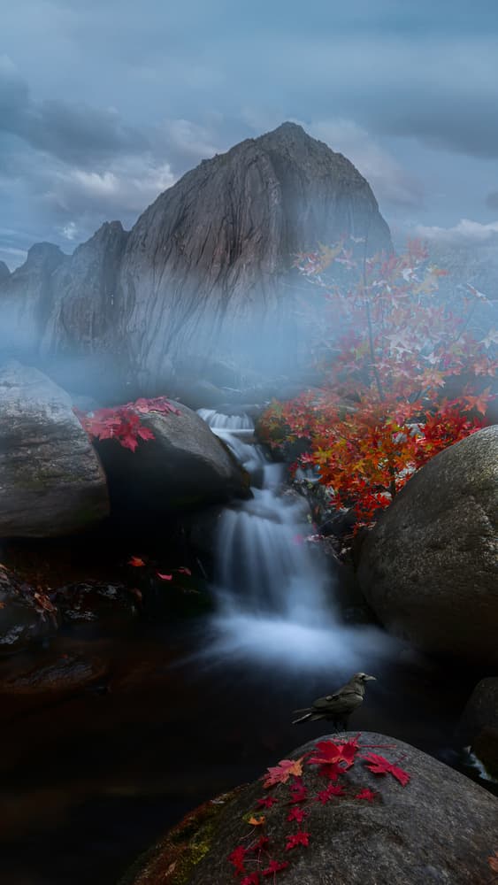 Misty Autumn Waterfall Bird by Simoon — canvas wall art