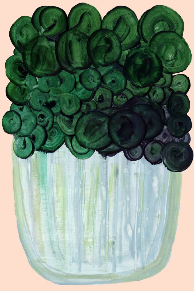 Abstract Green Houseplant by cartissi — canvas wall art