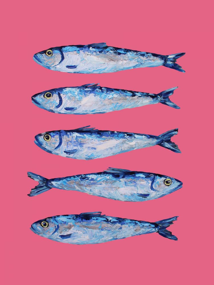 Vibrant Sardines on Pink by Alice Straker — canvas wall art