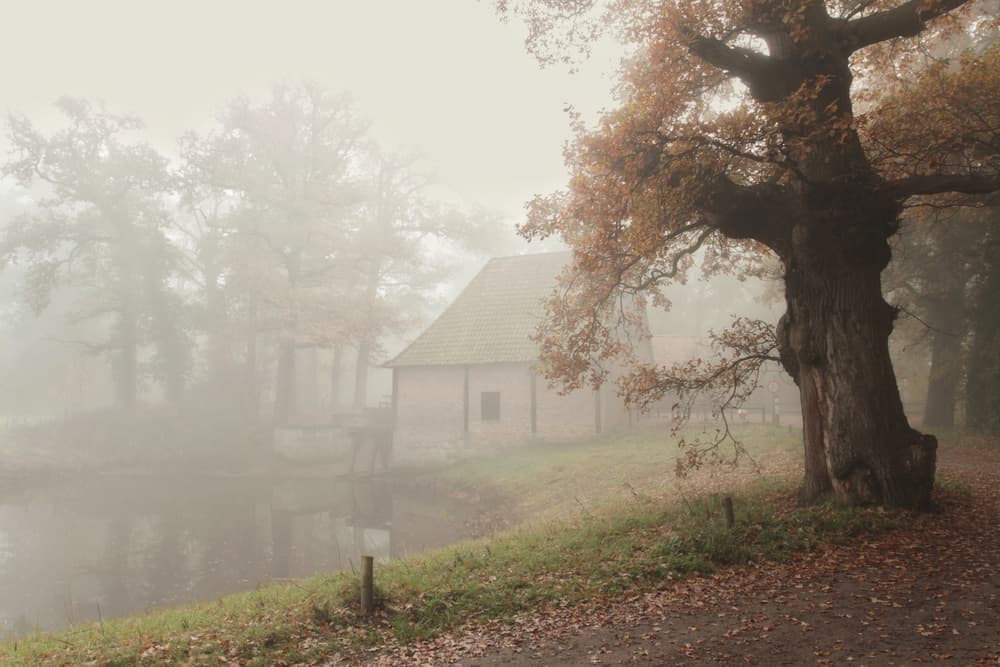 Misty Autumn Mill by Vincent Croce — canvas wall art