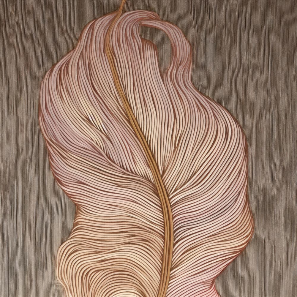 Flowing Feather Lines by Alma — canvas wall art