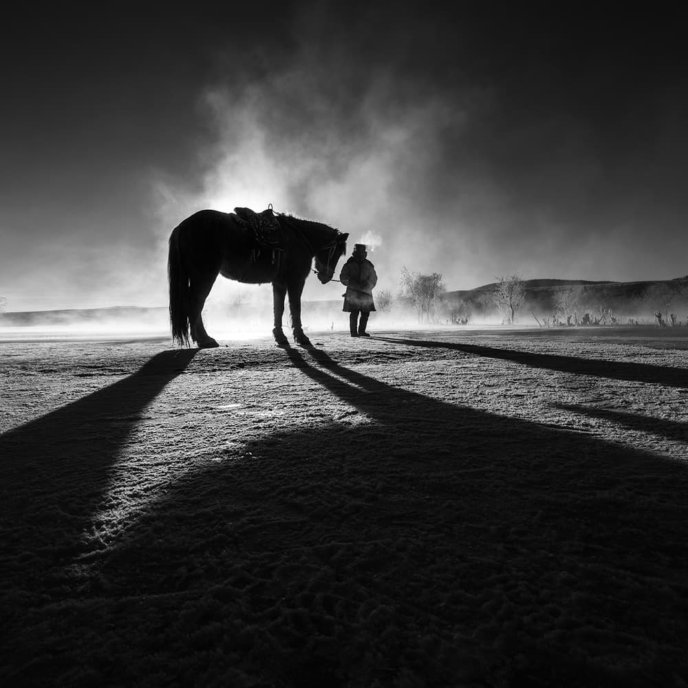 Misty Morning Horseman by Bingo Z — canvas wall art