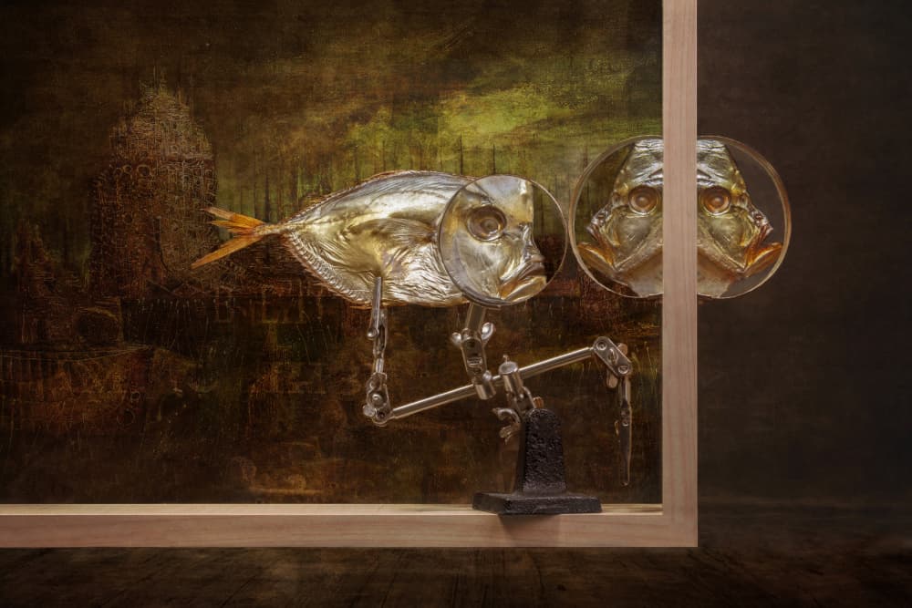 Curious Gaze Fish by Brig Barkow — canvas wall art