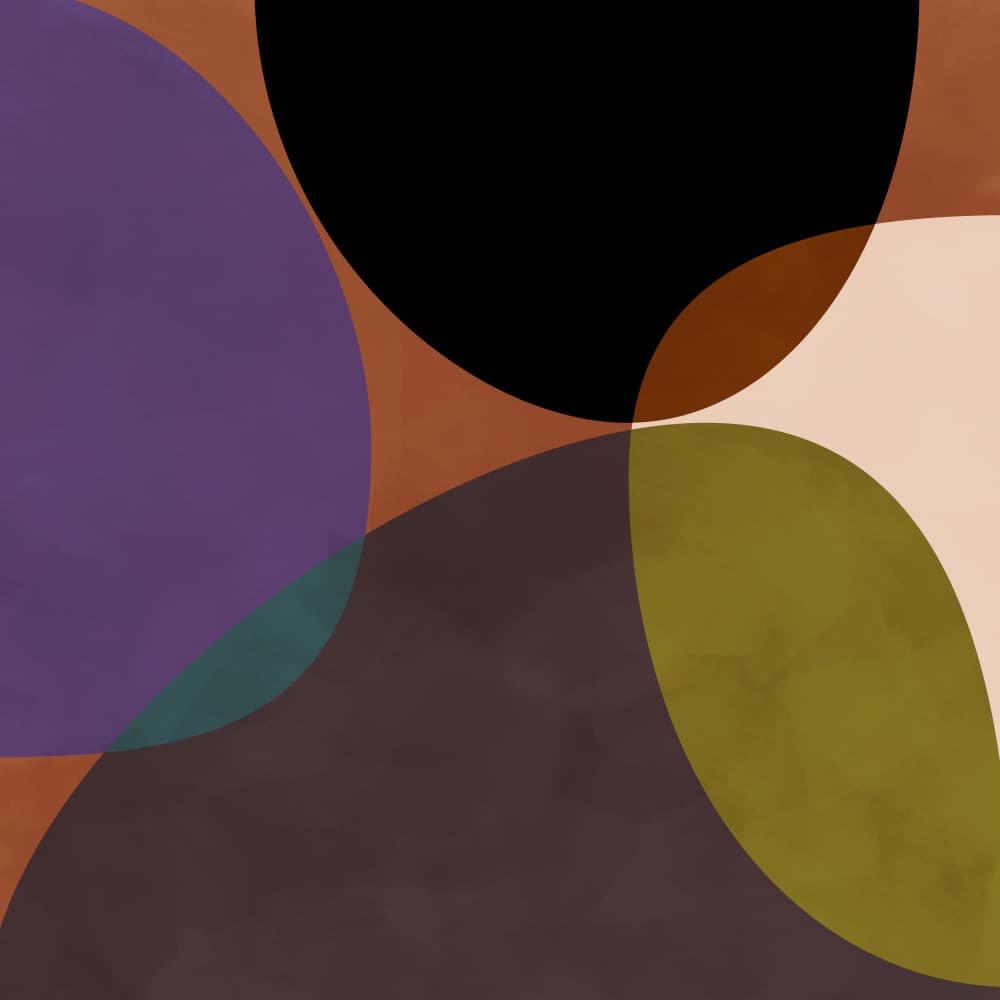 Mid Circles Terracotta Blck2 by Ana Rut Bre — canvas wall art
