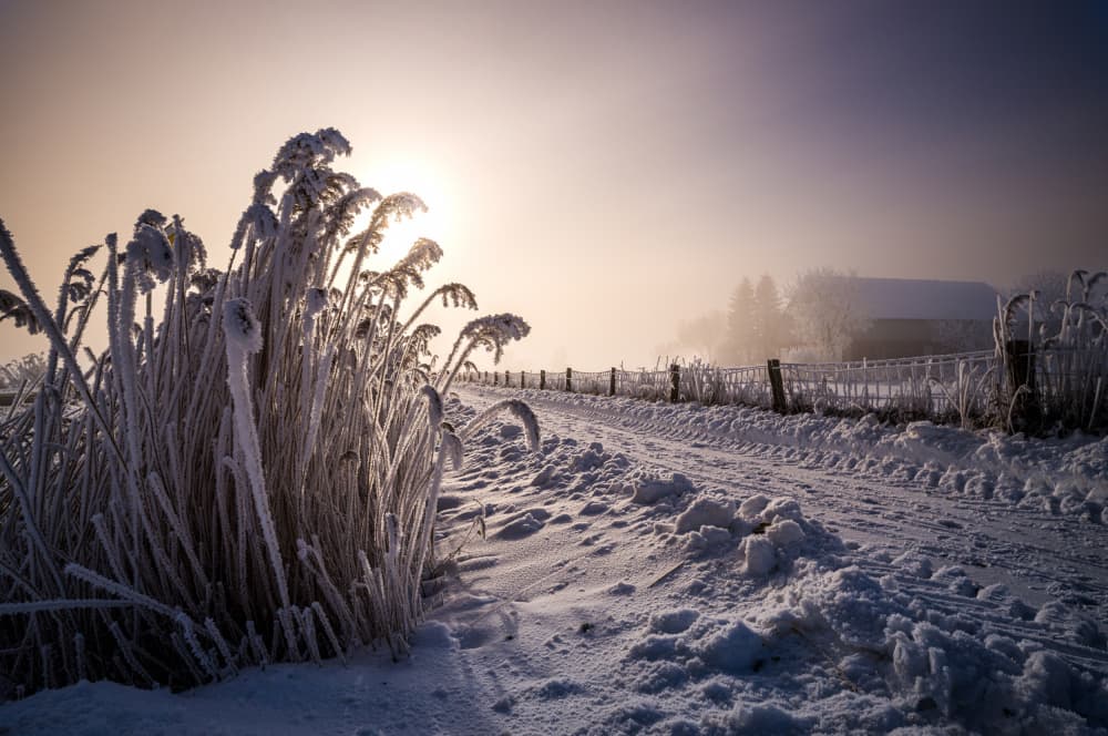 Winter Sun Path by Arne Jansen — canvas wall art